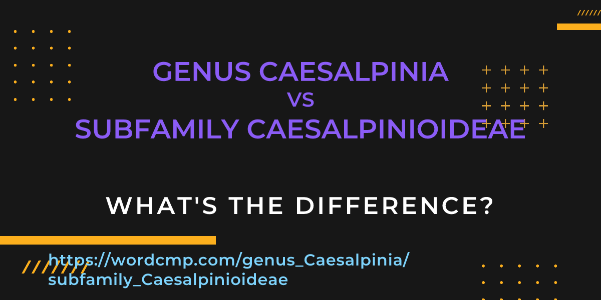 Difference between genus Caesalpinia and subfamily Caesalpinioideae