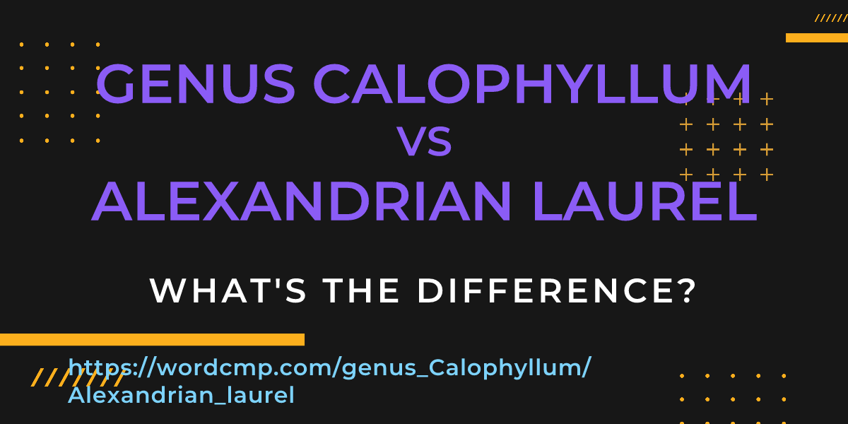 Difference between genus Calophyllum and Alexandrian laurel