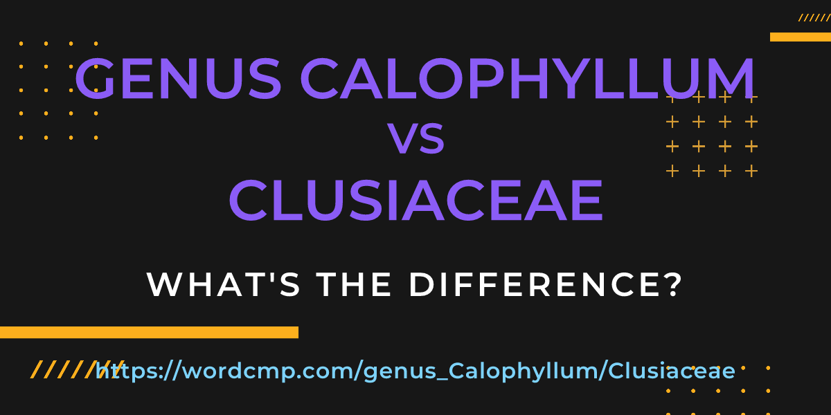 Difference between genus Calophyllum and Clusiaceae
