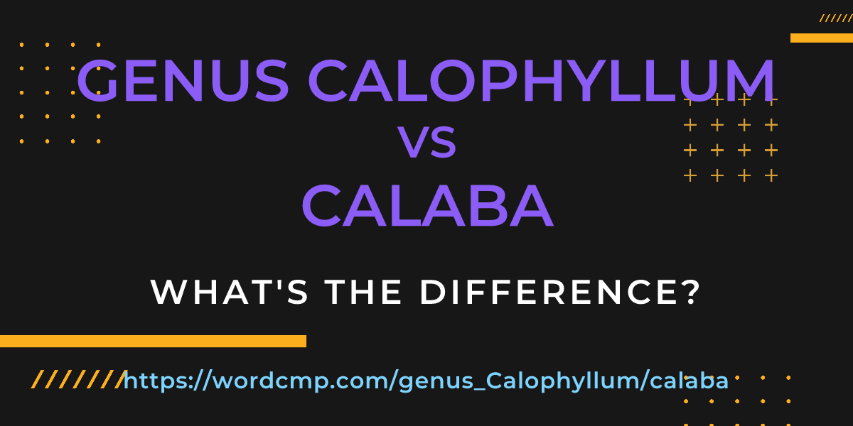 Difference between genus Calophyllum and calaba