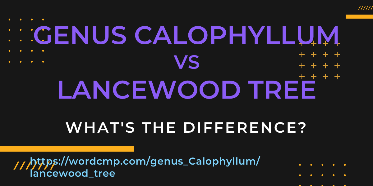 Difference between genus Calophyllum and lancewood tree