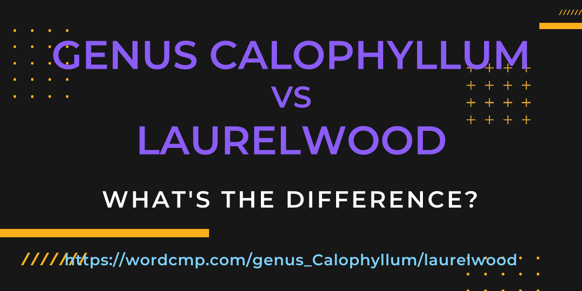 Difference between genus Calophyllum and laurelwood