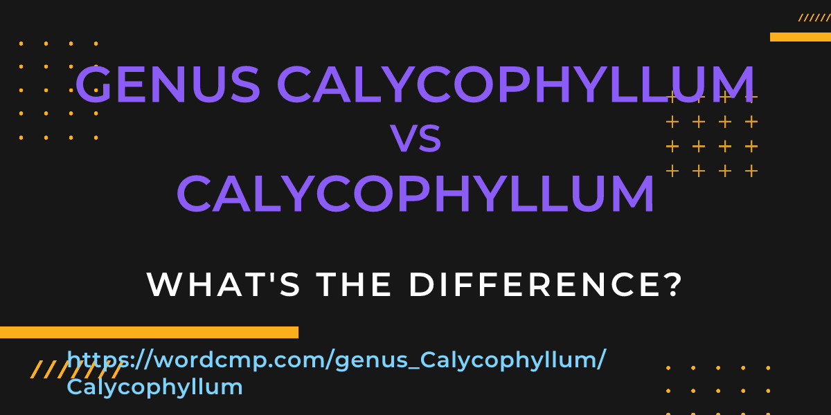 Difference between genus Calycophyllum and Calycophyllum