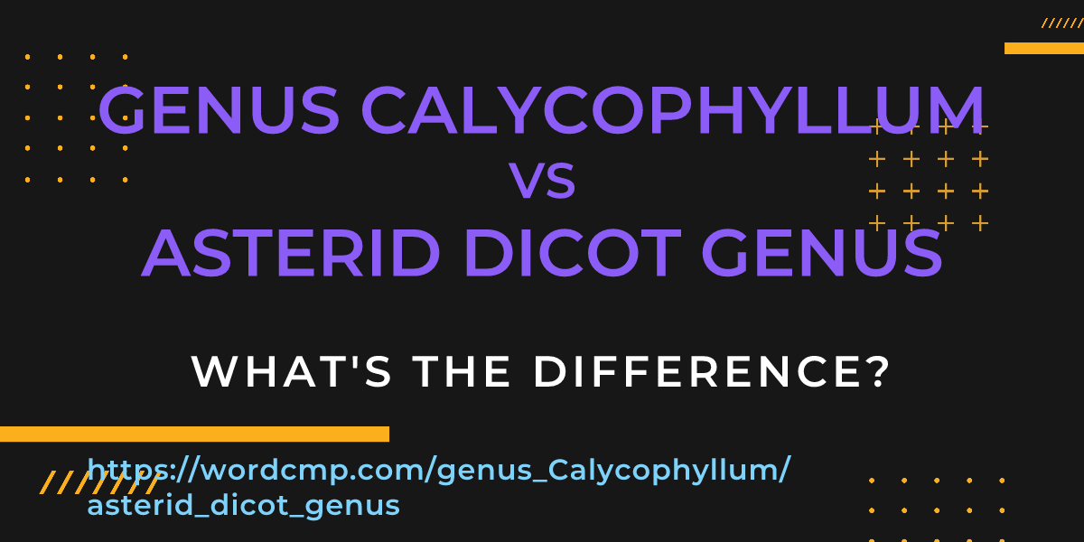 Difference between genus Calycophyllum and asterid dicot genus