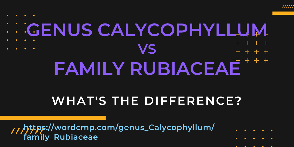 Difference between genus Calycophyllum and family Rubiaceae