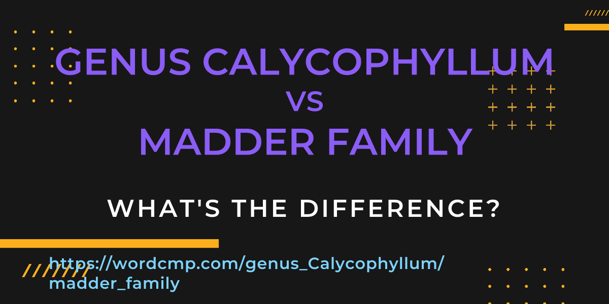Difference between genus Calycophyllum and madder family