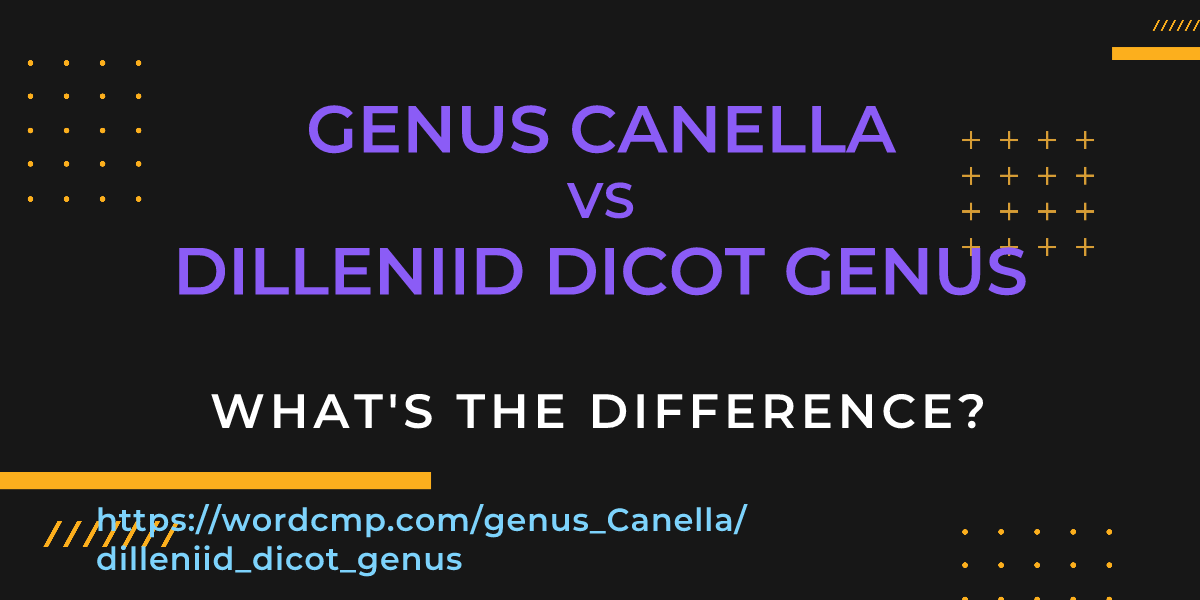 Difference between genus Canella and dilleniid dicot genus
