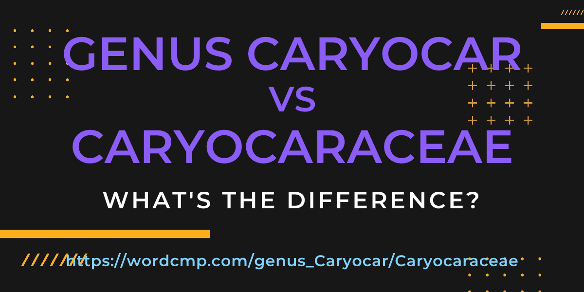 Difference between genus Caryocar and Caryocaraceae