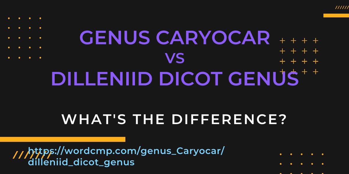 Difference between genus Caryocar and dilleniid dicot genus