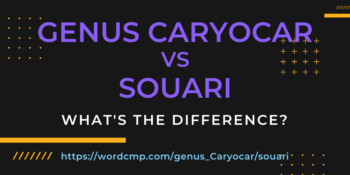 Difference between genus Caryocar and souari