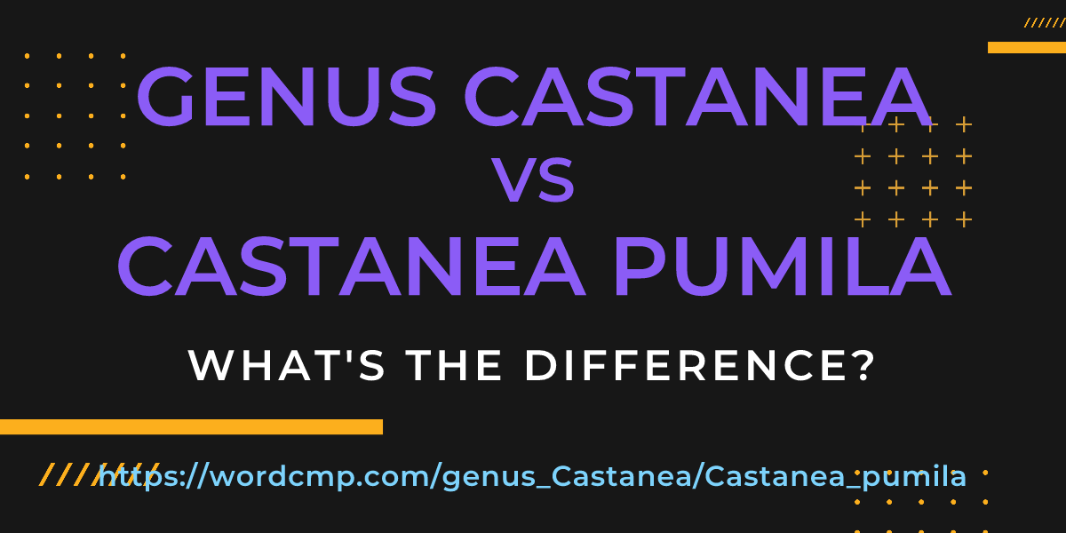 Difference between genus Castanea and Castanea pumila