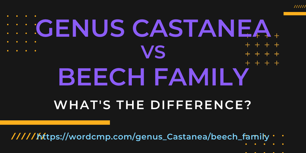 Difference between genus Castanea and beech family