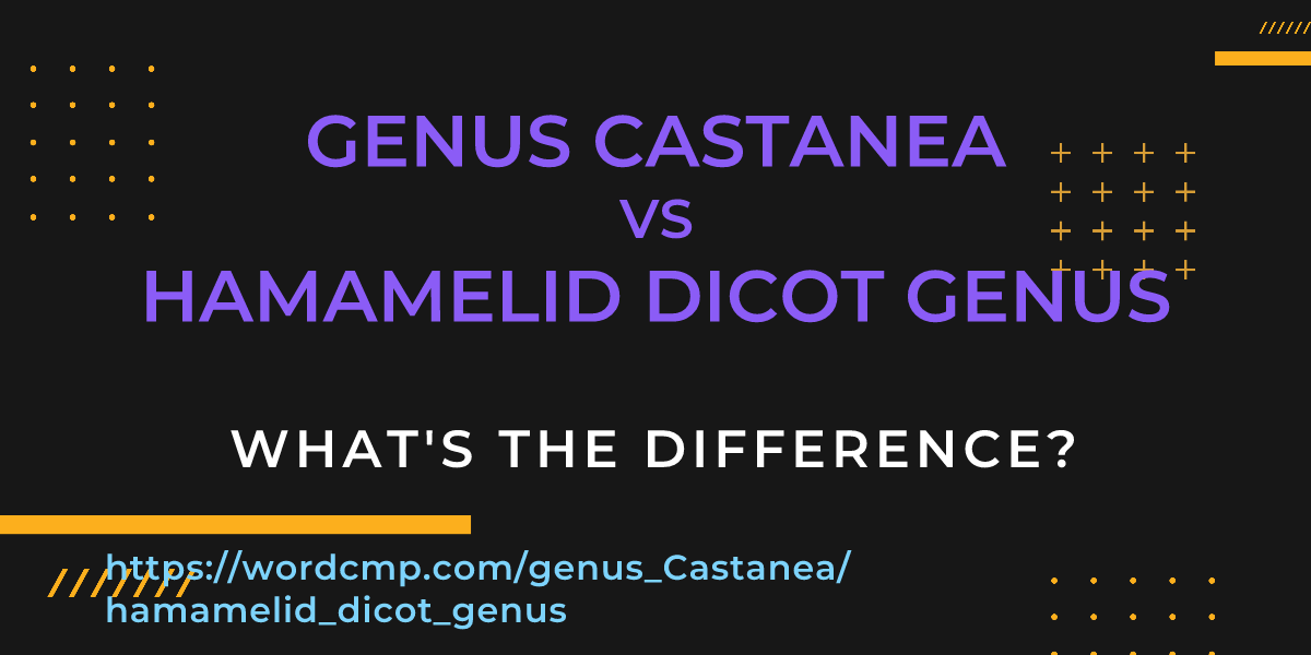 Difference between genus Castanea and hamamelid dicot genus
