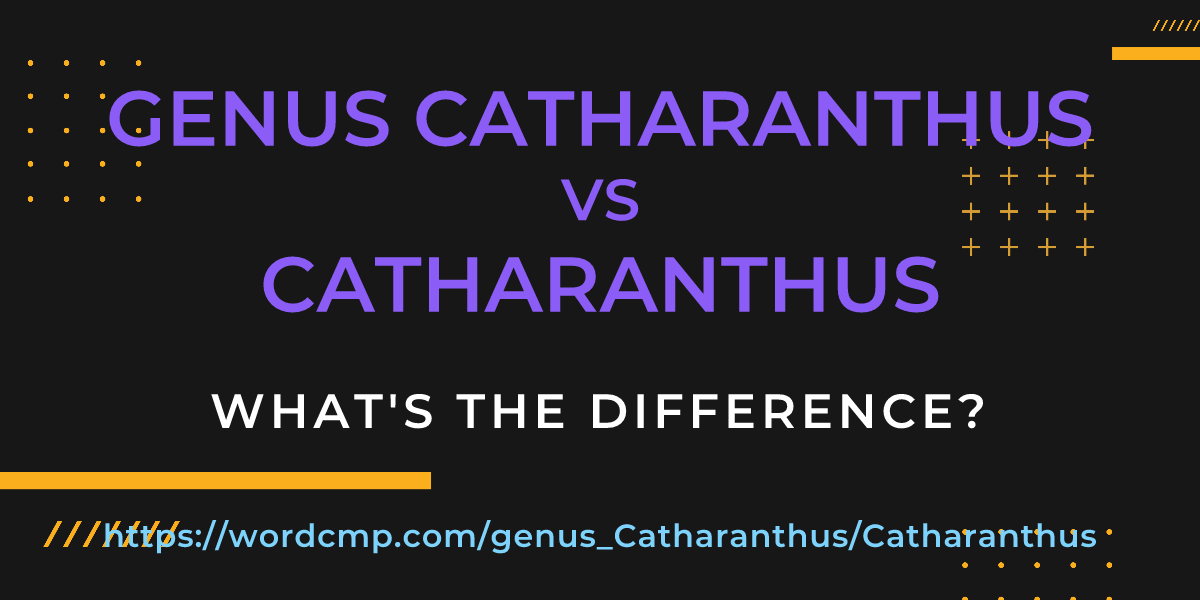Difference between genus Catharanthus and Catharanthus