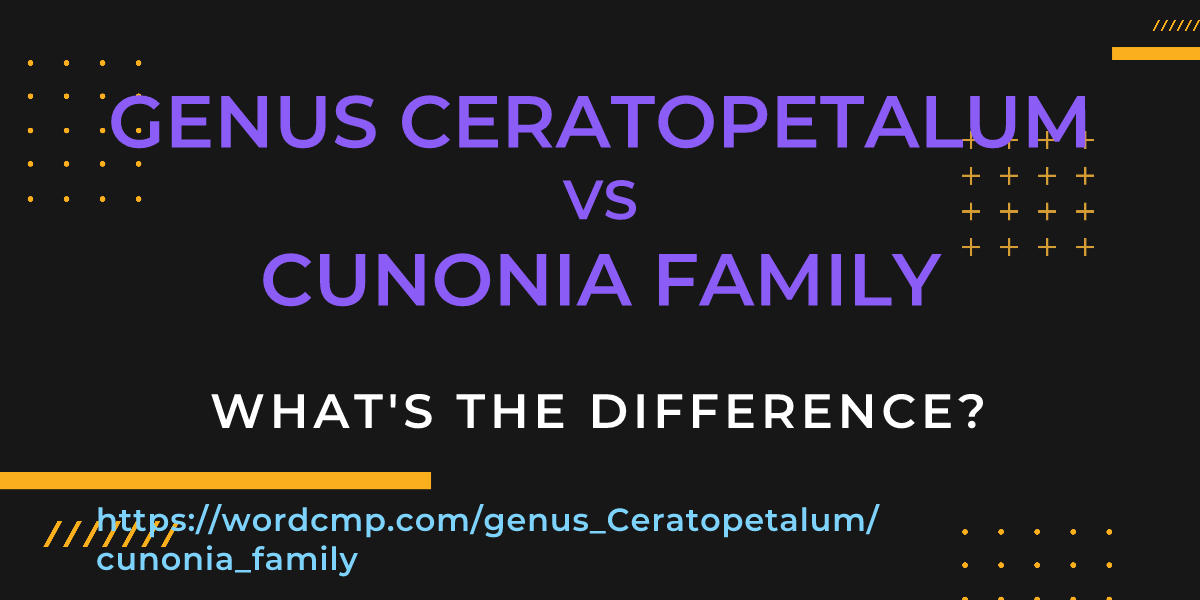 Difference between genus Ceratopetalum and cunonia family