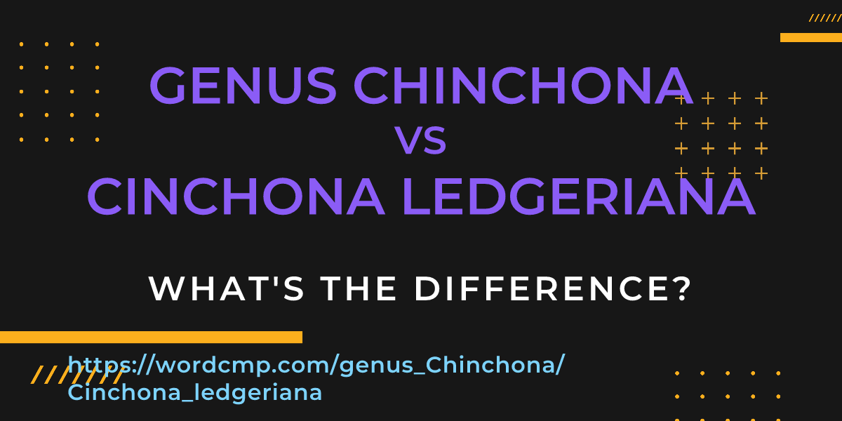 Difference between genus Chinchona and Cinchona ledgeriana