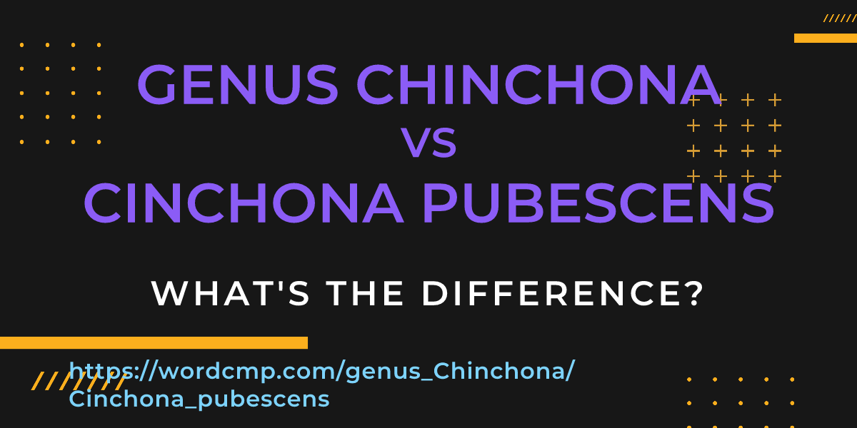 Difference between genus Chinchona and Cinchona pubescens