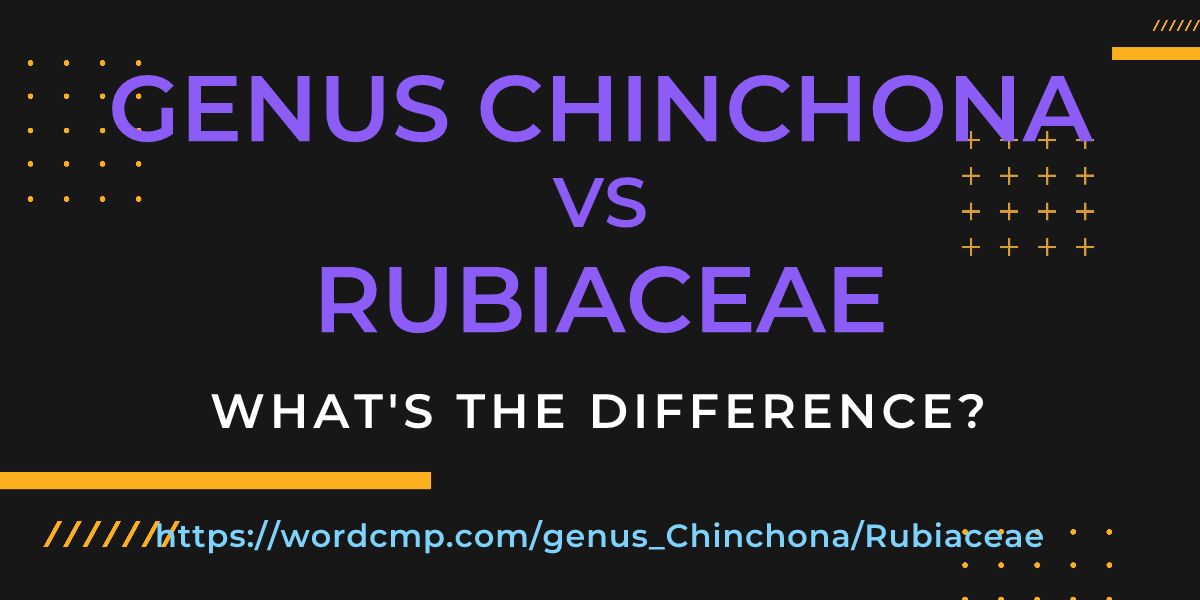 Difference between genus Chinchona and Rubiaceae