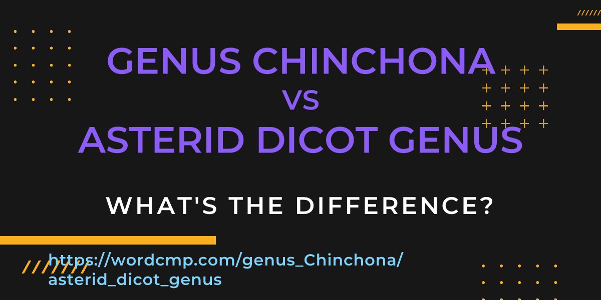 Difference between genus Chinchona and asterid dicot genus