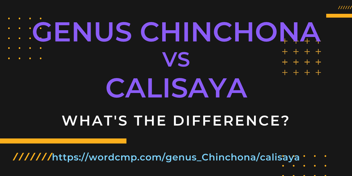 Difference between genus Chinchona and calisaya