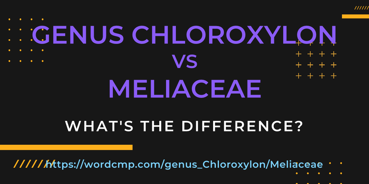 Difference between genus Chloroxylon and Meliaceae