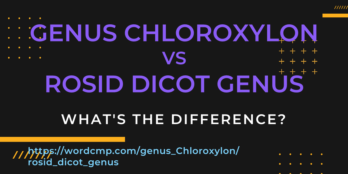 Difference between genus Chloroxylon and rosid dicot genus