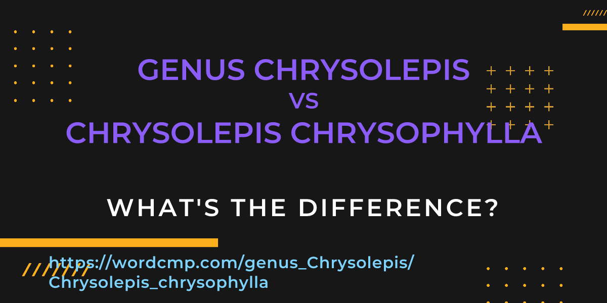 Difference between genus Chrysolepis and Chrysolepis chrysophylla
