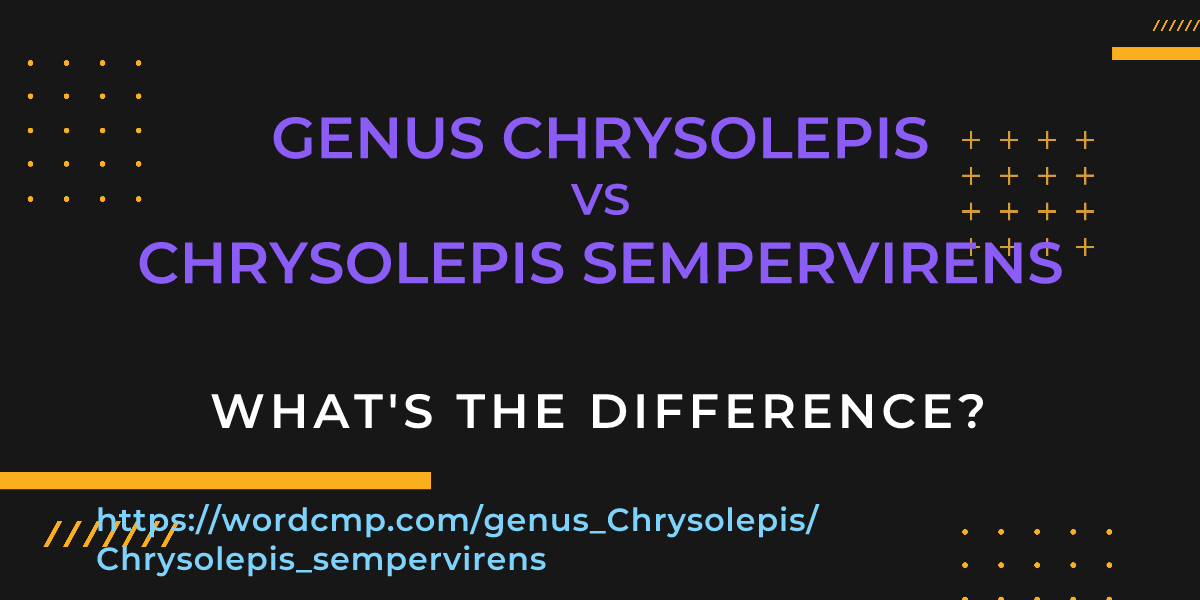 Difference between genus Chrysolepis and Chrysolepis sempervirens