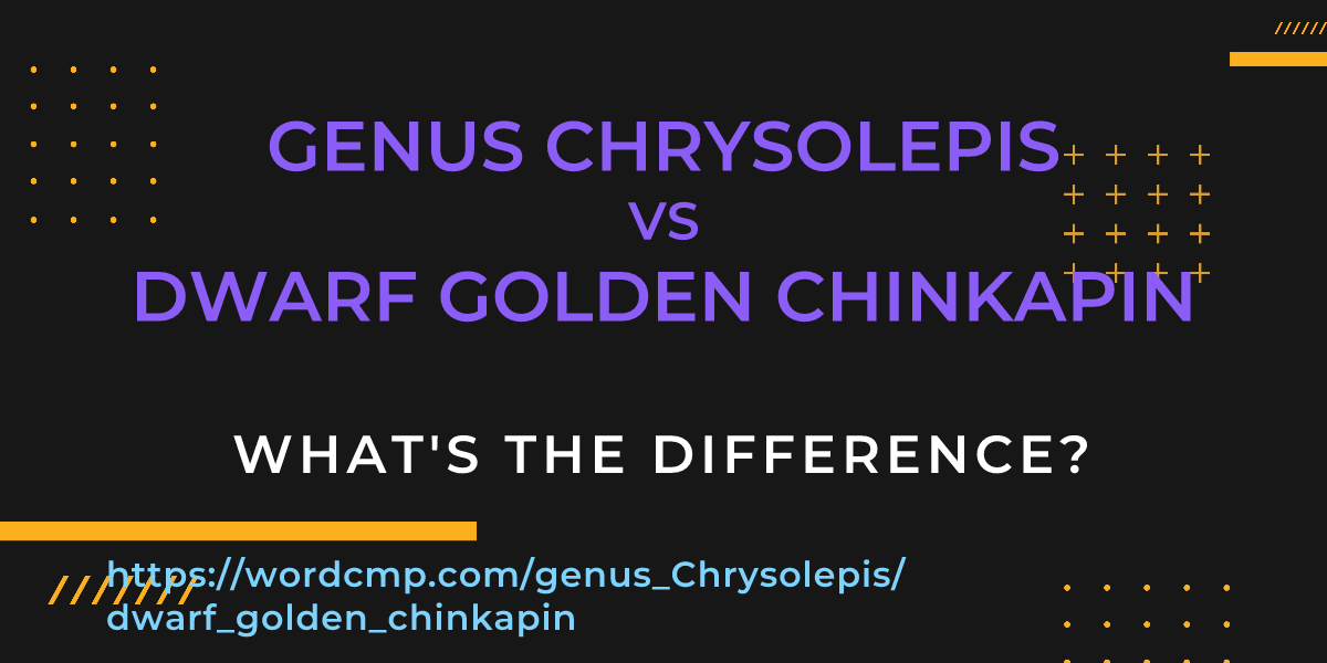 Difference between genus Chrysolepis and dwarf golden chinkapin