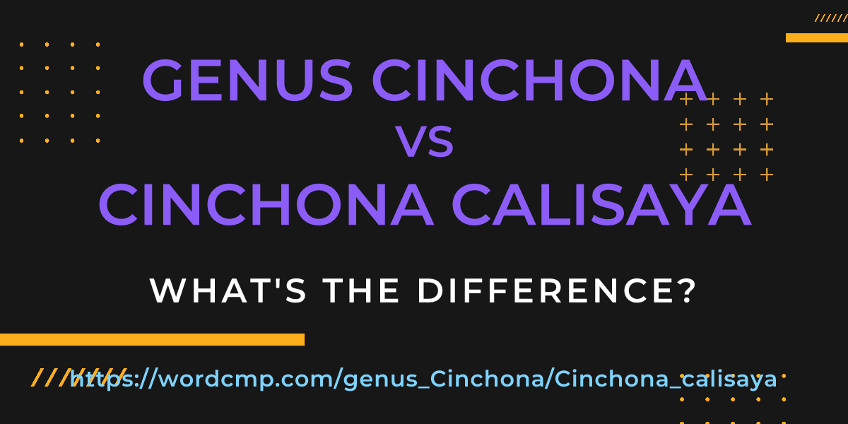 Difference between genus Cinchona and Cinchona calisaya