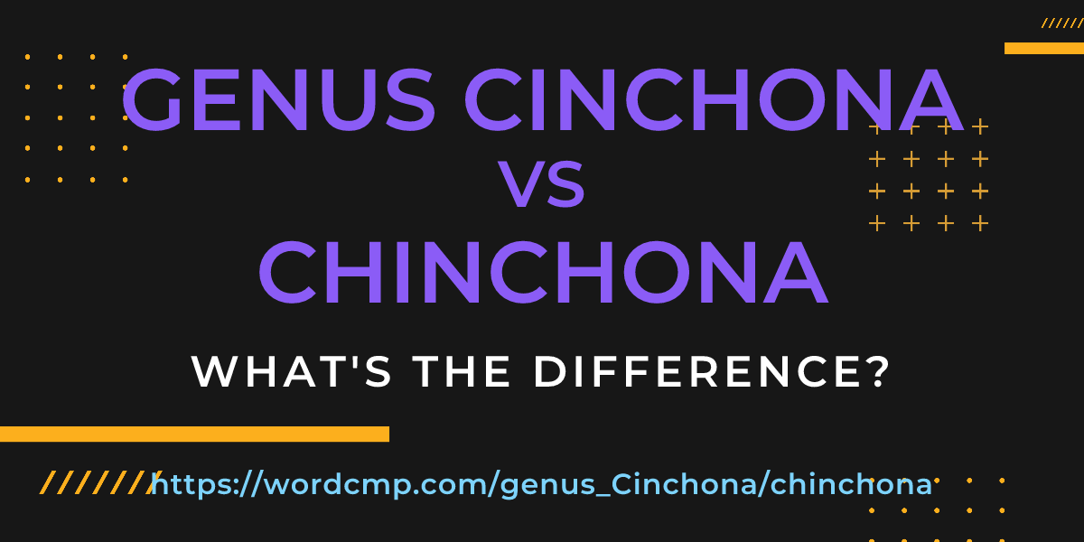 Difference between genus Cinchona and chinchona