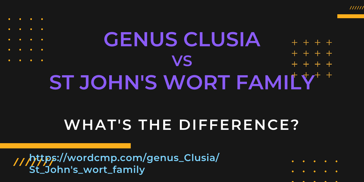 Difference between genus Clusia and St John's wort family