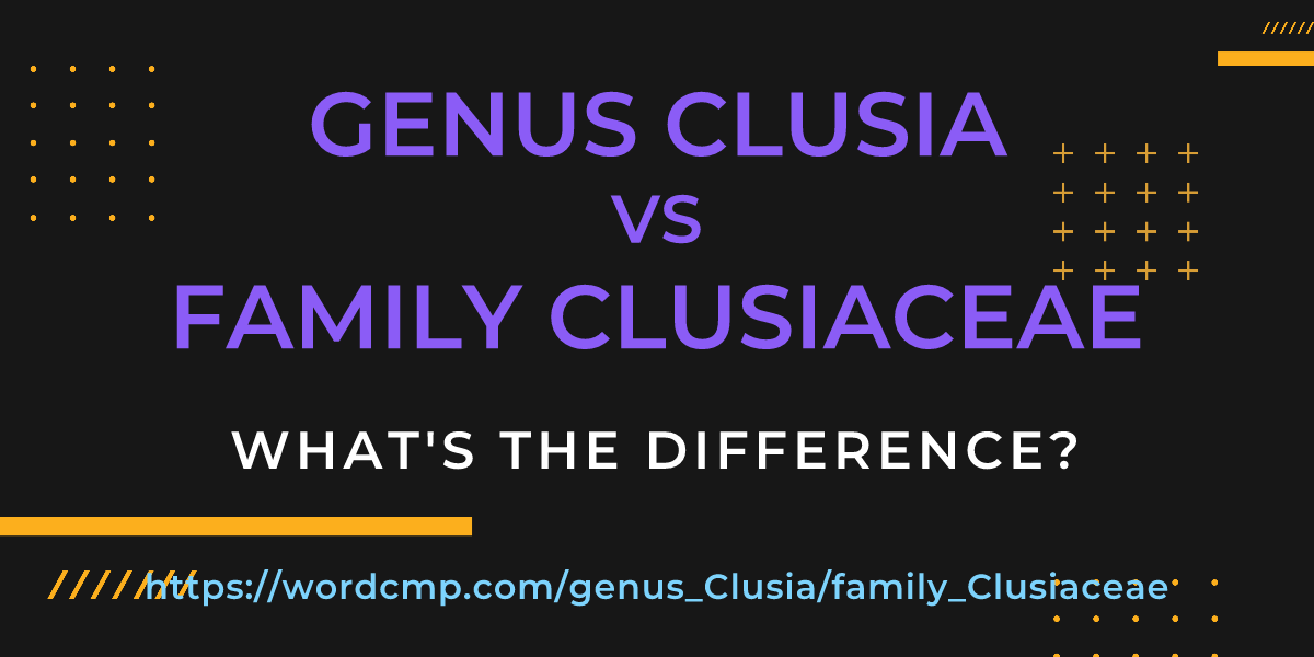 Difference between genus Clusia and family Clusiaceae