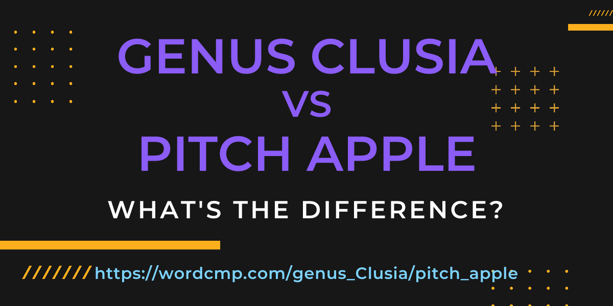 Difference between genus Clusia and pitch apple