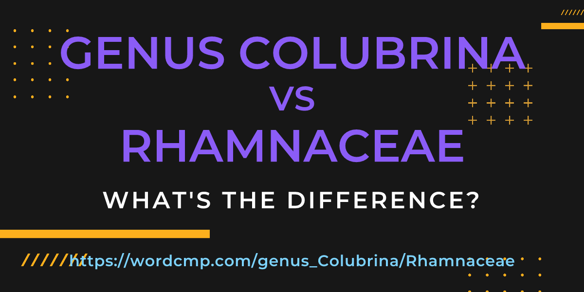 Difference between genus Colubrina and Rhamnaceae