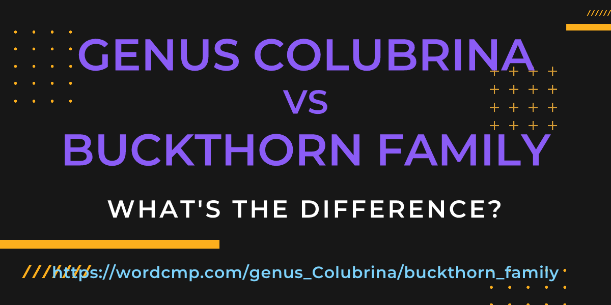 Difference between genus Colubrina and buckthorn family