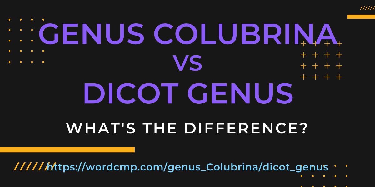 Difference between genus Colubrina and dicot genus