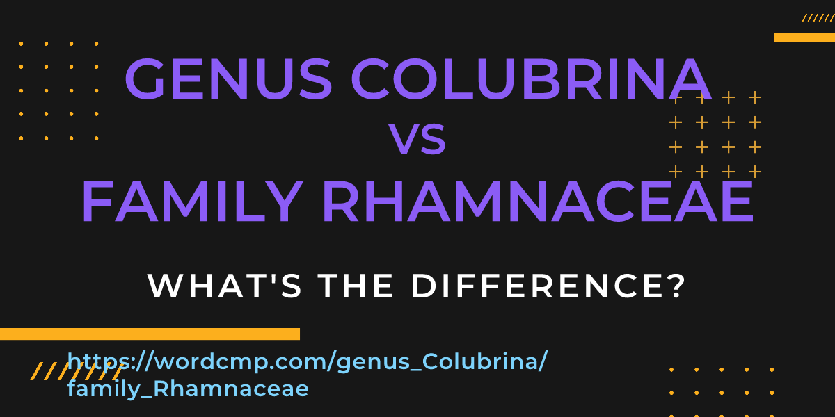 Difference between genus Colubrina and family Rhamnaceae