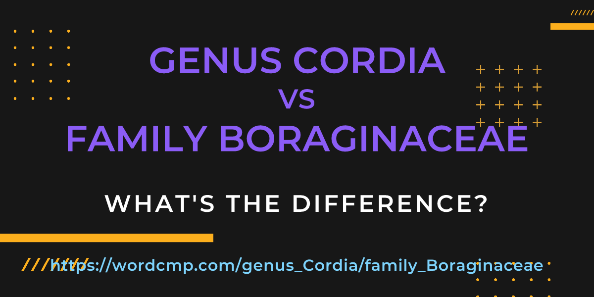 Difference between genus Cordia and family Boraginaceae