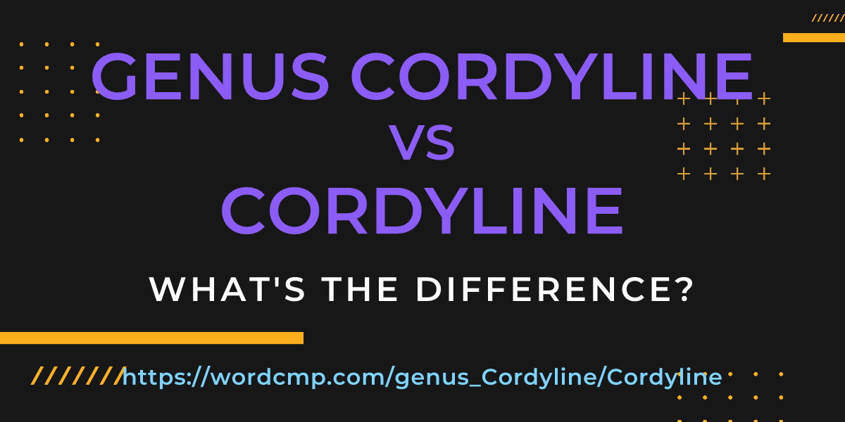 Difference between genus Cordyline and Cordyline