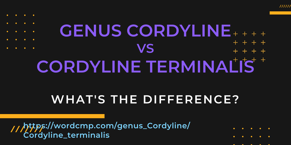 Difference between genus Cordyline and Cordyline terminalis