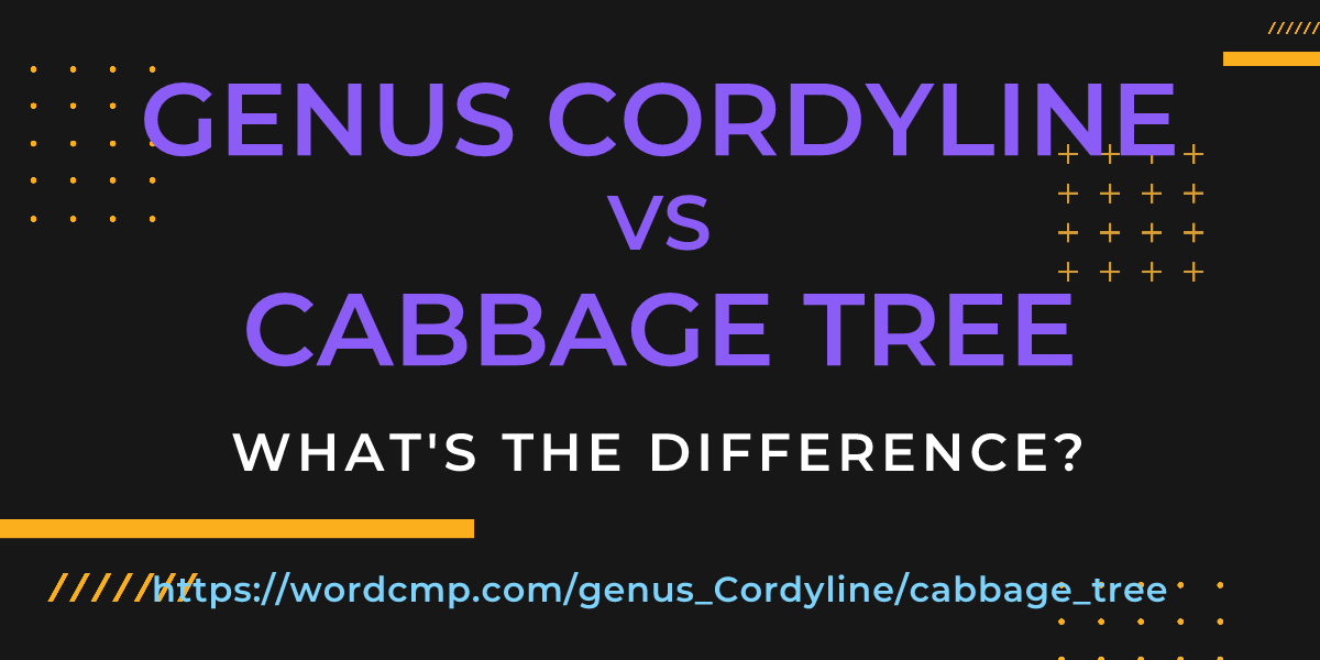 Difference between genus Cordyline and cabbage tree