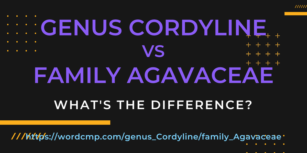 Difference between genus Cordyline and family Agavaceae