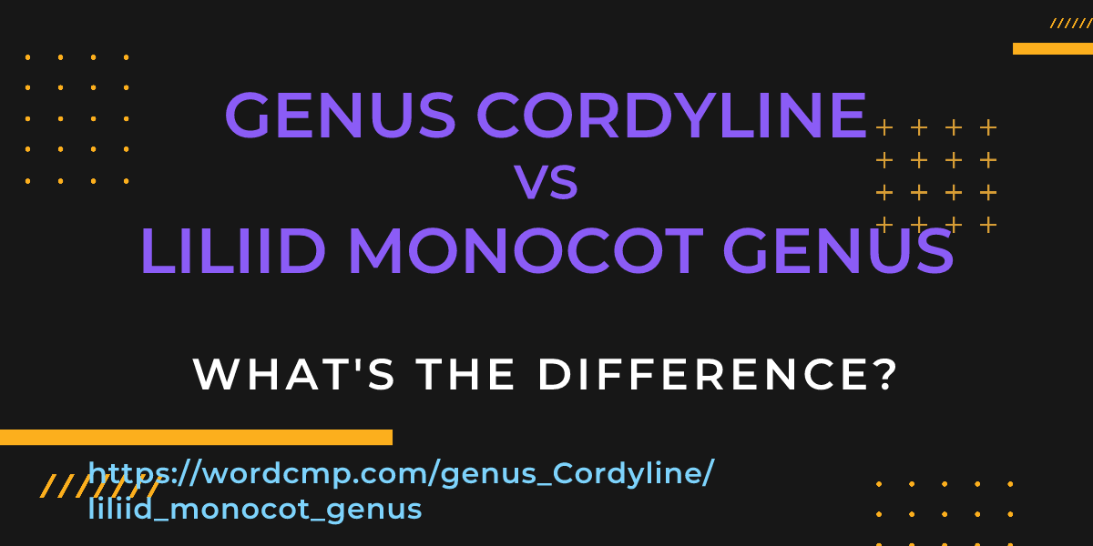 Difference between genus Cordyline and liliid monocot genus