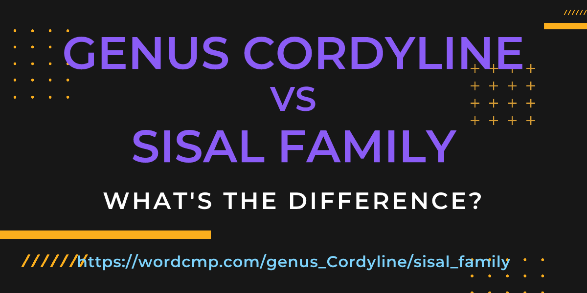 Difference between genus Cordyline and sisal family
