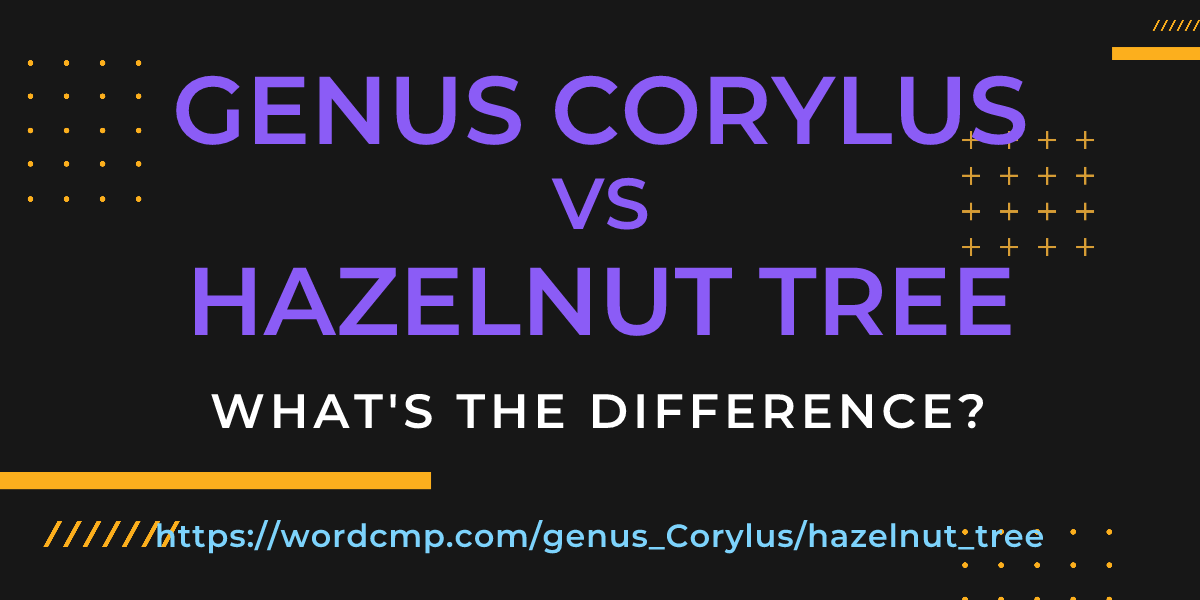 Difference between genus Corylus and hazelnut tree