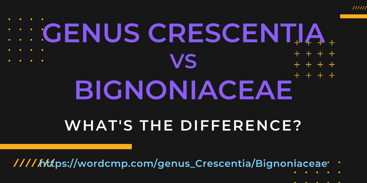 Difference between genus Crescentia and Bignoniaceae