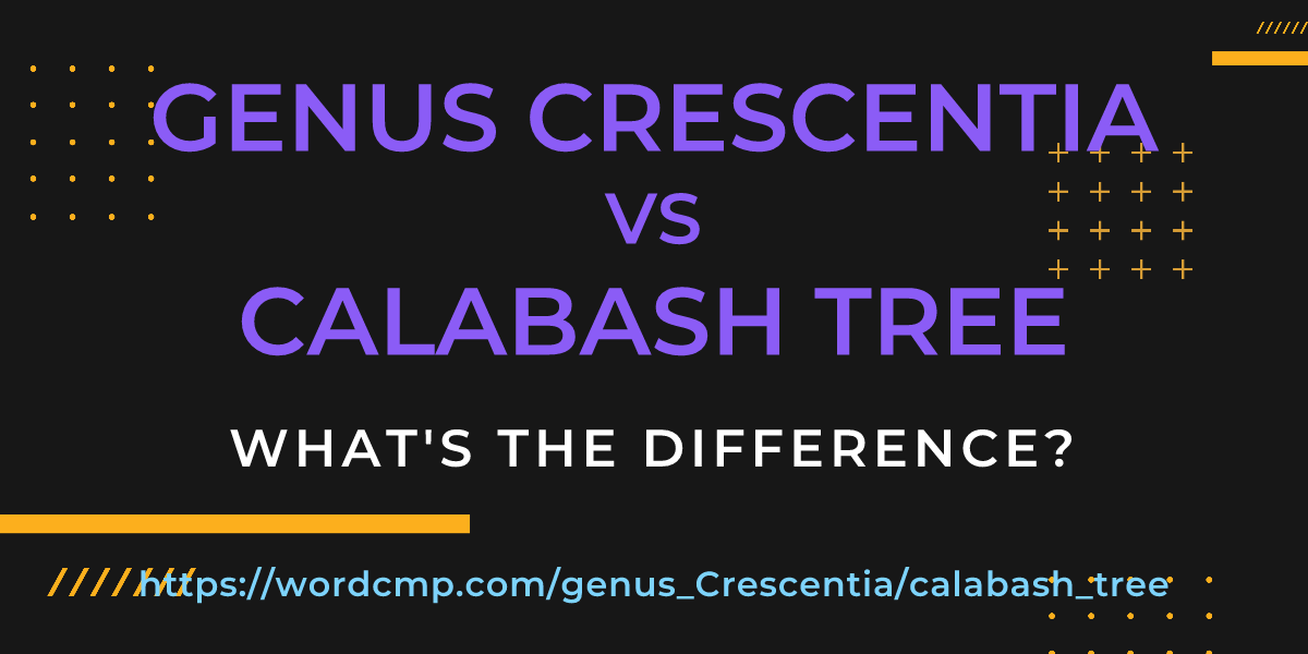 Difference between genus Crescentia and calabash tree