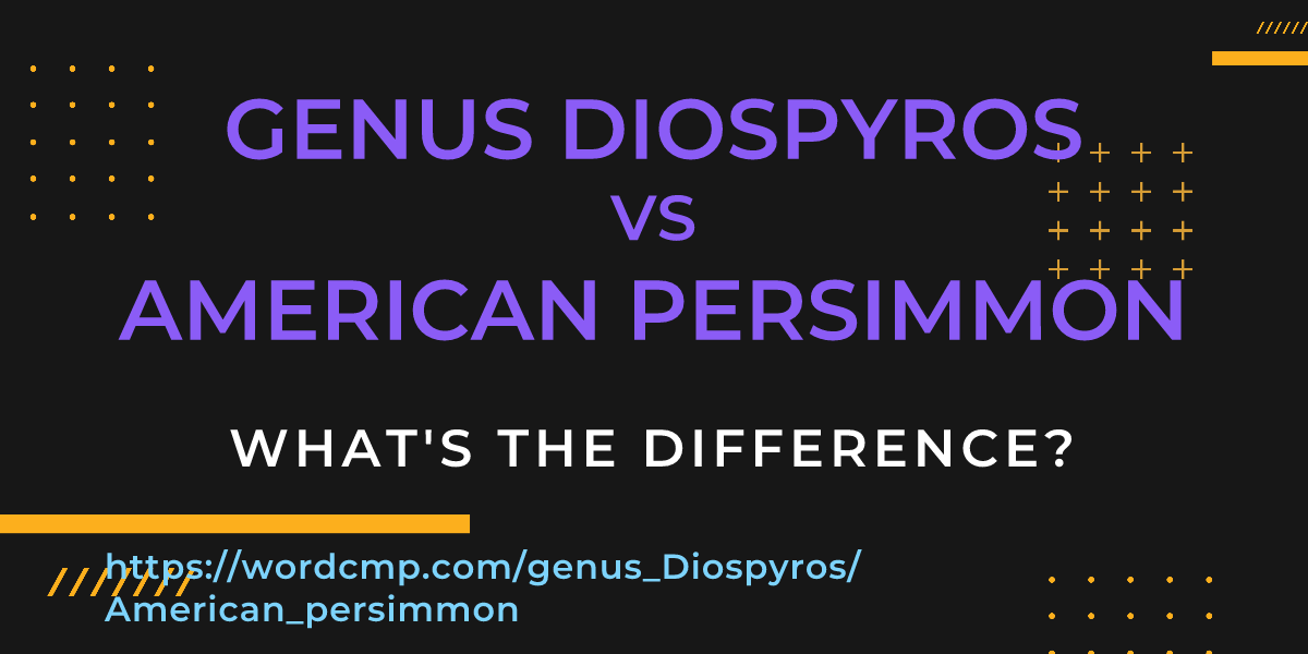 Difference between genus Diospyros and American persimmon