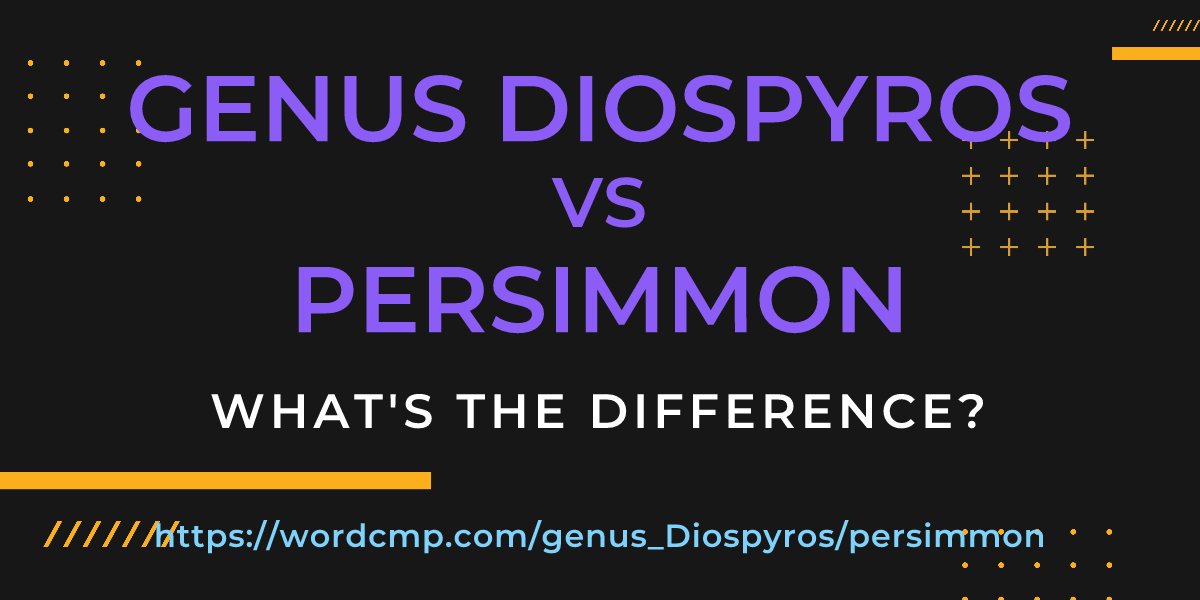 Difference between genus Diospyros and persimmon